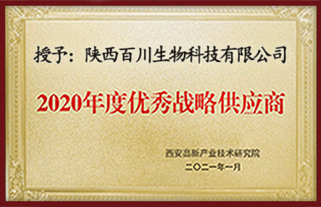 優秀戰略供應商